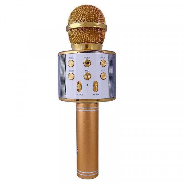 Беспроводной микрофон Wster WS-858 (WS858)